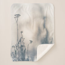 Foto natural das plantas de inverno