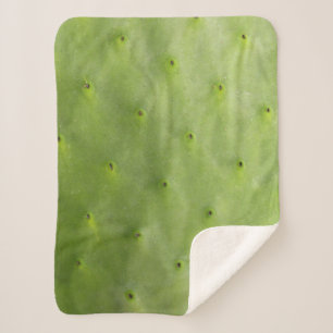 Cobertor Sherpa Foto verde botânica tropical do cacto