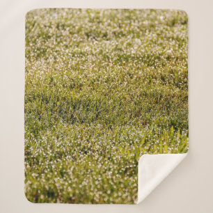 Cobertor Sherpa Fresh spring green grass background, with bokeh ef