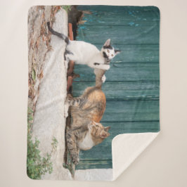 Cobertor Sherpa Gatinho Bonito Perseguindo Mãe Folha Engraçada Fot