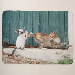 Cobertor Sherpa Gatinho Bonito Perseguindo Mãe Folha Engraçada Fot