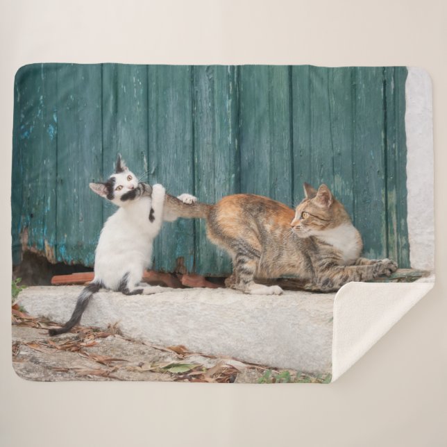 Cobertor Sherpa Gatinho Bonito Perseguindo Mãe Folha Engraçada Fot (Frente (Horizontal))