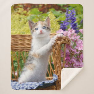 Cobertor Sherpa Gatinho Gato Nosy Bonito num Jardim Flor -