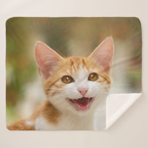 Cobertor Sherpa Gatinho Sorridente Enfrentando Gato Engraçado Foto