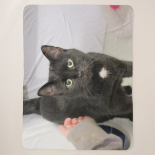Cobertor Sherpa Gato
