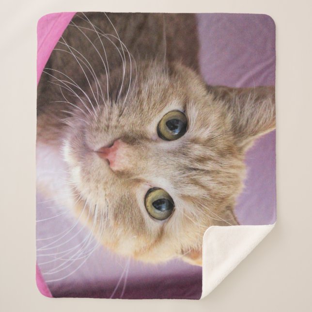 Cobertor Sherpa Gato (Frente)