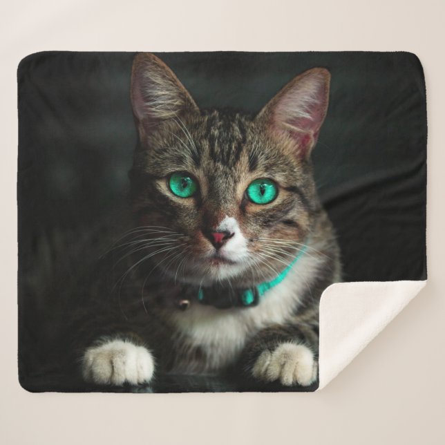 Cobertor Sherpa Gato (Frente (Horizontal))