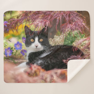 Cobertor Sherpa Gato branco-preto bonito descendo sob uma árvore 