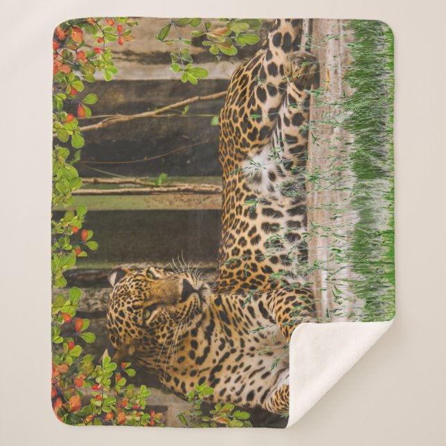 Cobertor Sherpa Gato Leopardo Animal (50" X 60") (Frente)