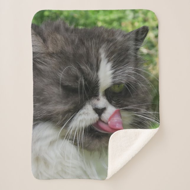 Cobertor Sherpa gatos,Sherpa Blankets, artesanato, feriado, elegan (Frente)