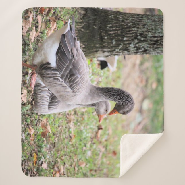 Cobertor Sherpa Geese (Frente)