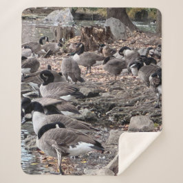Cobertor Sherpa Geese in the Park Sherpa Blanket