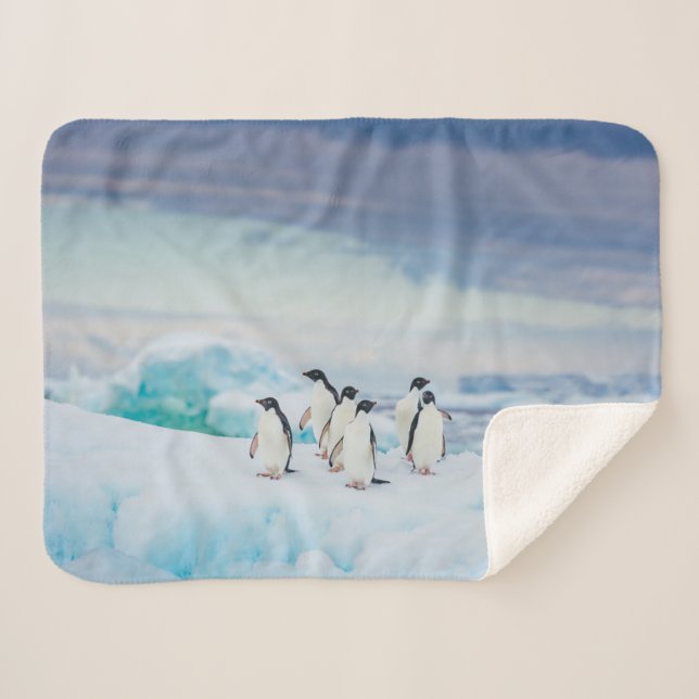 Cobertor Sherpa Gelo e neve | Pinguins de adenda Antártica (Frente (Horizontal))
