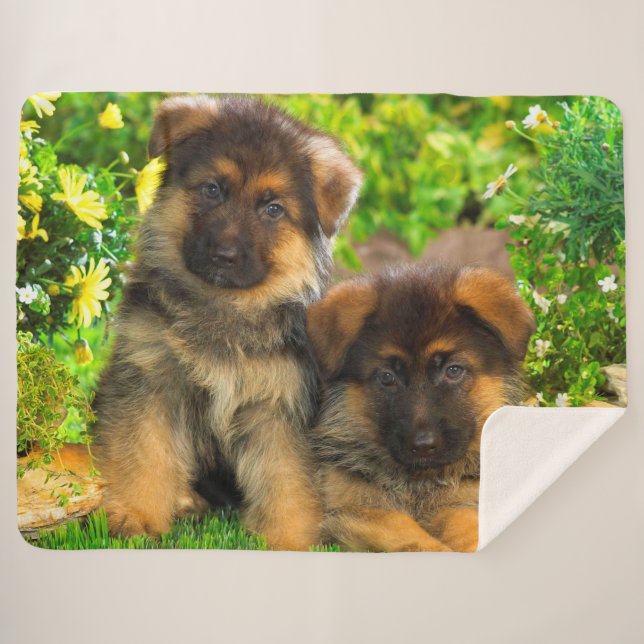 Cobertor Sherpa German shepherd (Frente (Horizontal))