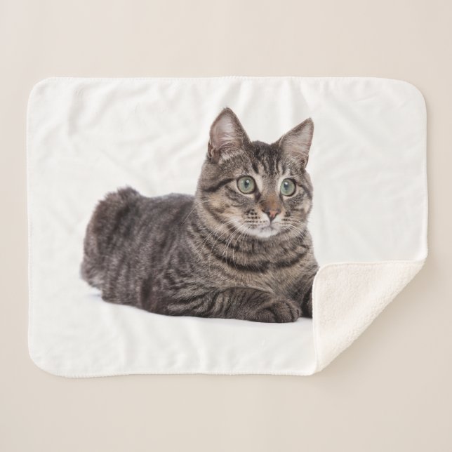 Cobertor Sherpa Gray Tabby Cat (Frente (Horizontal))