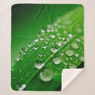 Cobertor Sherpa Green water leaf dew nature grass