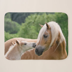 Cobertor Sherpa Haflinger Cute Hores Foto e Mãe Beijo Cudling