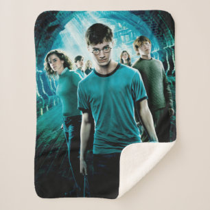 Cobertor Sherpa HARRY POTTER E A ORDEM DO PHOENIX™ Blue