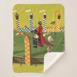 Cobertor Sherpa HARRY POTTER™ Em Busca do Pomo de Ouro