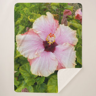 Cobertor Sherpa Hibiscus Fotografia em Aberto