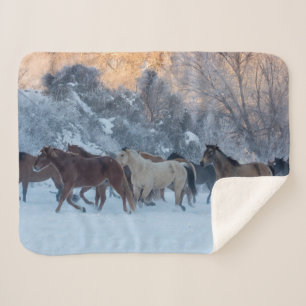 Cobertor Sherpa Horse Drive in Winter on Hideout Ranch