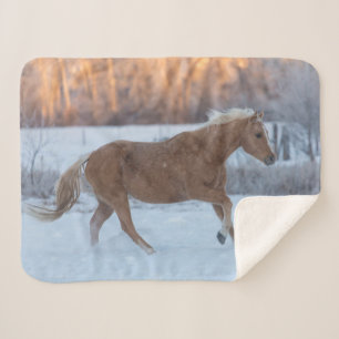 Cobertor Sherpa Horse Drive in Winter on Hideout Ranch