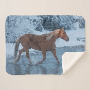 Cobertor Sherpa Horse Drive no inverno em Hideout Ranc