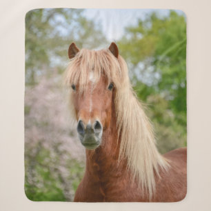Cobertor Sherpa Horse Head Aegidienberger cruzou islandês e Paso