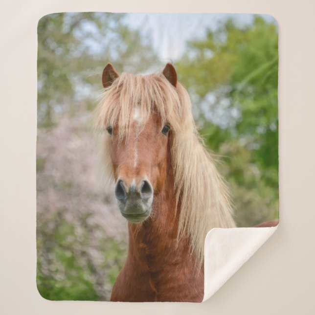 Cobertor Sherpa Horse Head Aegidienberger cruzou islandês e Paso (Frente)