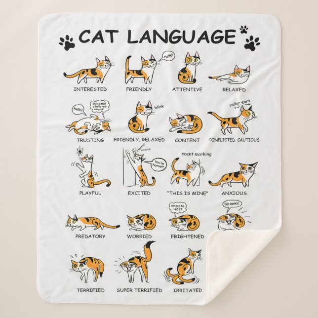 Cobertor Sherpa Idioma de Gato, Gatinho Gato Engraçado, Ideia de G (Frente)