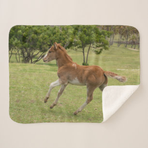 Cobertor Sherpa Ilha páscoa Rapa Nui