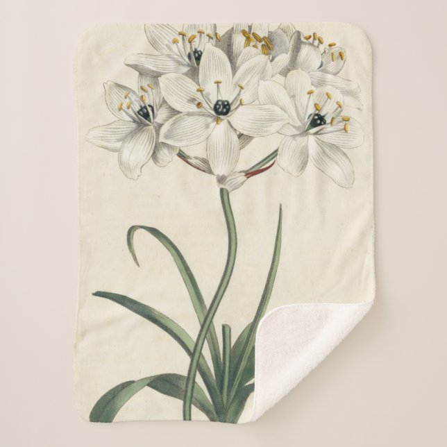 Cobertor Sherpa Ivory Garden (Frente)