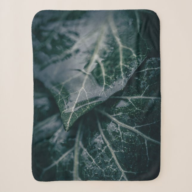 Cobertor Sherpa Ivy Nature Photo (Frente)
