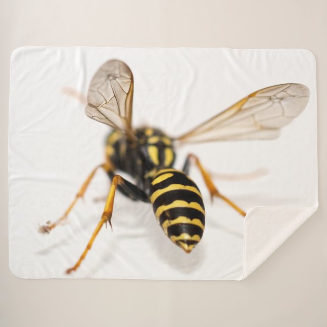 Cobertor Sherpa Jaqueta AMARELO (Frente (Horizontal))