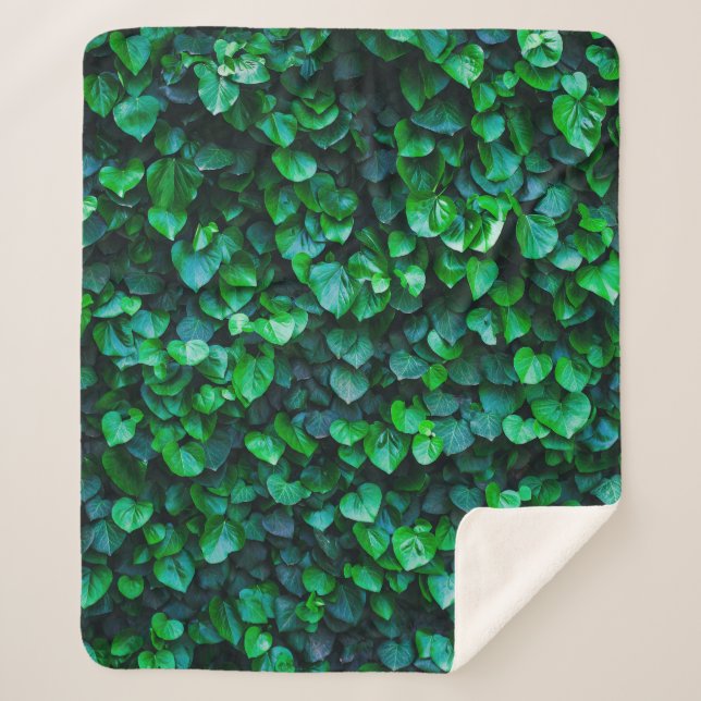 Cobertor Sherpa Jardinagem interior da selva urbana (Frente)