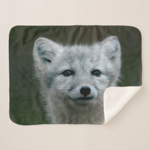 Cobertor Sherpa Jogo do Fox ártico das imagens de Getty