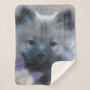 Cobertor Sherpa Keeshond e Columbine - Fotografia de Cães