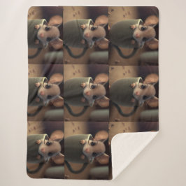 Cobertor Sherpa Kids/Babyshower Gift Cute Blanket