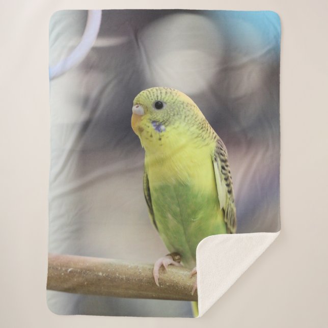 Cobertor Sherpa Kiwi Burbell (Frente)