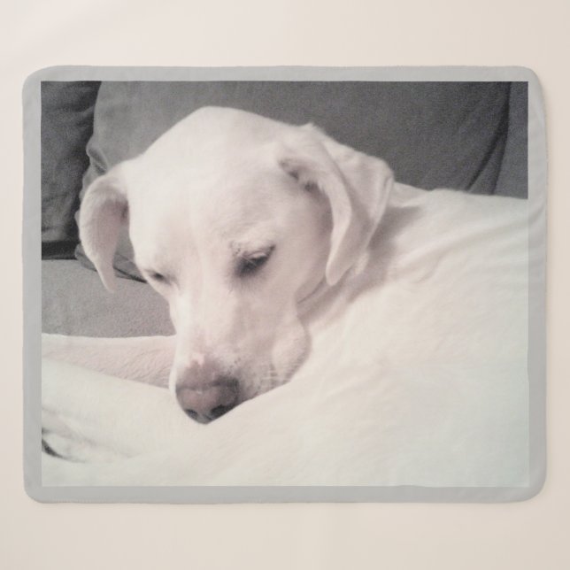 Cobertor Sherpa Labrador Branco, Bonito, Branca, Misturando Cinzas (Frente (Horizontal))