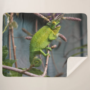 COBERTOR SHERPA LAGARTO VERDE