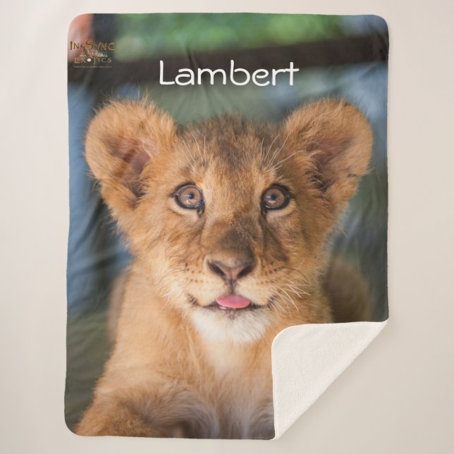 Cobertor Sherpa Lambert (Frente)