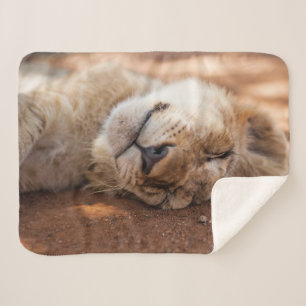 Cobertor Sherpa Leão Cub do sono das imagens de Getty