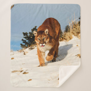 Cobertor Sherpa Leão de Montanha na colina de neve