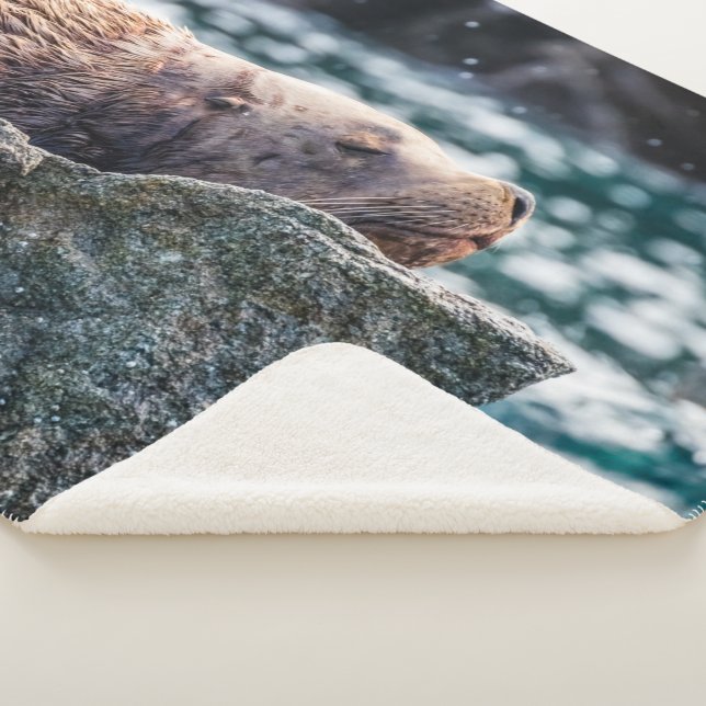 Cobertor Sherpa Leão-Do-Mar Na Baía De Ressurreição, Alasca (3/4)