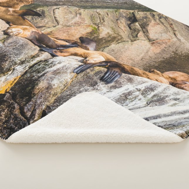 Cobertor Sherpa Leões Do Mar Deitados Nas Rochas (3/4)