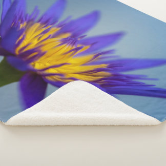 Cobertor Sherpa Lily de água púrpura