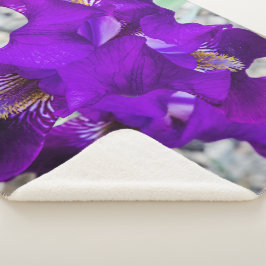 Cobertor Sherpa Linda íris roxa