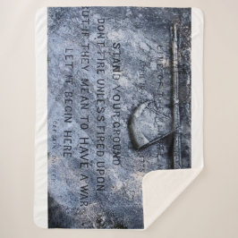 COBERTOR SHERPA LINHA DO MINUTEMEN