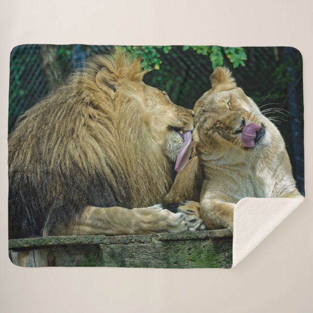 COBERTOR SHERPA LION AMOR (Frente (Horizontal))